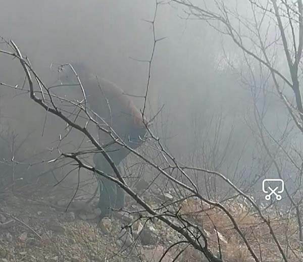 Quema maleza y provoca incendio