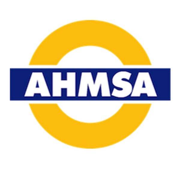 Caen ingresos de AHMSA en 49.6%