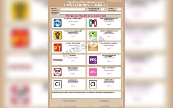 Tribunal electoral ‘palomea’ boleta electoral de 2021; conoce cómo queda