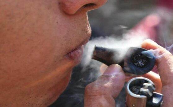 Inicia discusión en comisiones de San Lázaro sobre uso lúdico de mariguana