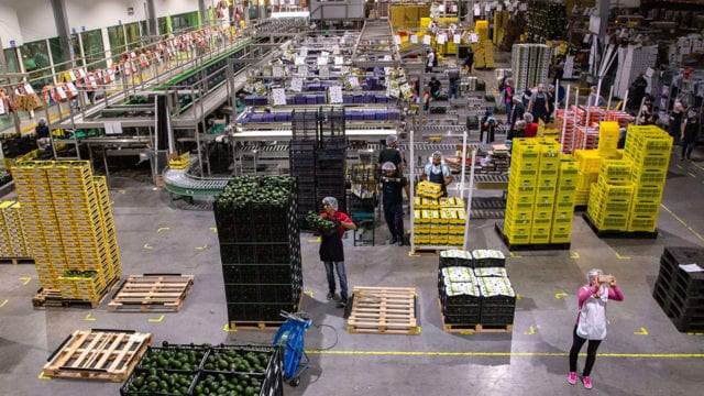 México y EU ampliarán cooperación científica en sector agroalimentario