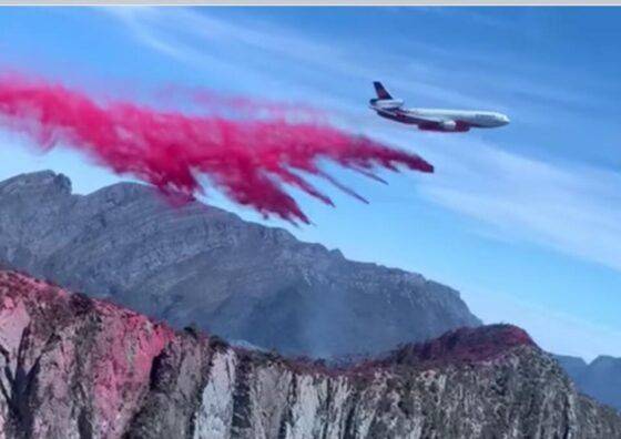 Controlan incendio de la Pinalosa en Arteaga.