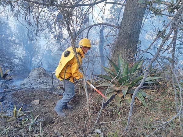 Controlan incendio 70% en Monterreal