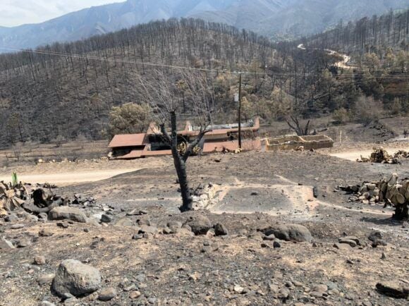 Repliegan a brigadistas de Arteaga gracias a los avances en el control del incendio