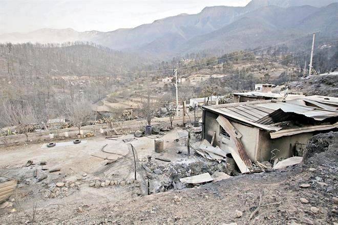 Declara Federación emergencia en NL tras incendios