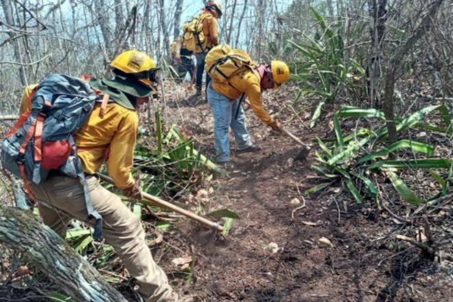 Acusan abandono en combate a incendios