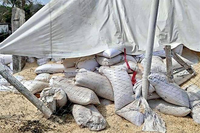 Olvidan en Guerrero toneladas de maíz