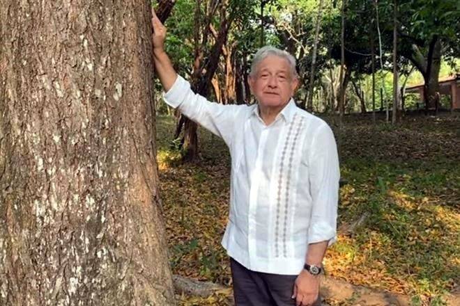Planteará a Biden ampliar Sembrando Vida a Centroamérica