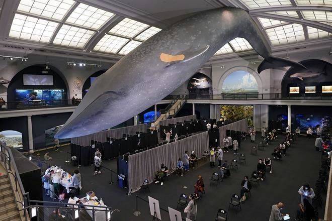 Ofrece ciudad de NY vacuna a cualquiera sin cita