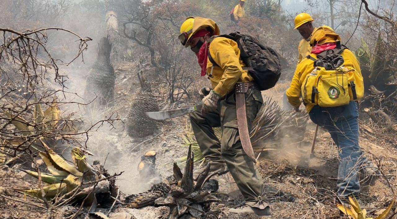 SOFOCAN BRIGADISTAS y DC10 INCENDIO EN LA SIERRA DE ARTEAGA