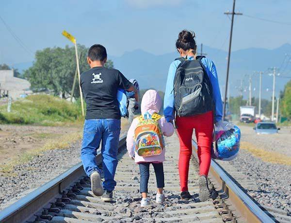 Truncan sueño a 254 indocumentados en operativos conjuntos