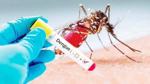 Libre región de Dengue