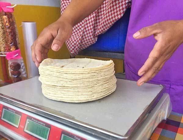 Se prevé aumento en tortilla de Maíz