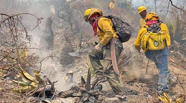 Sofocan incendio brigadistas y DC10