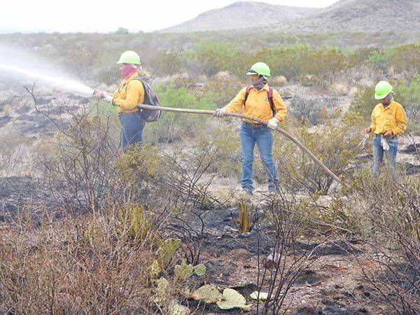 Mujeres sofocarán incendios en ejidos