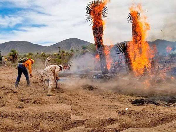 Controlan incendio en rancho ‘Valle de Perú’