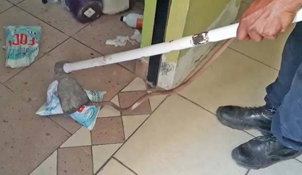 Piden mantener limpios los patios