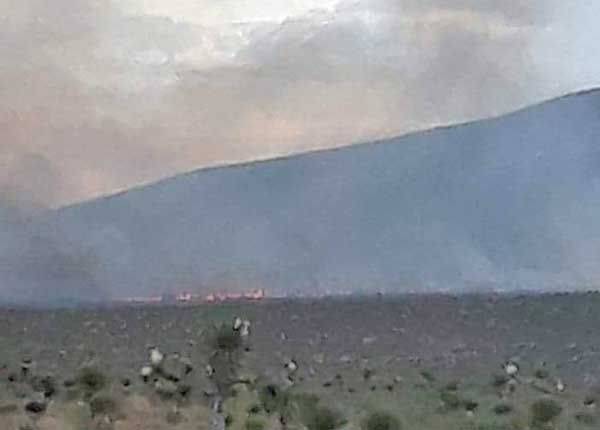 Combaten brigadistas incendio en Valle Perú