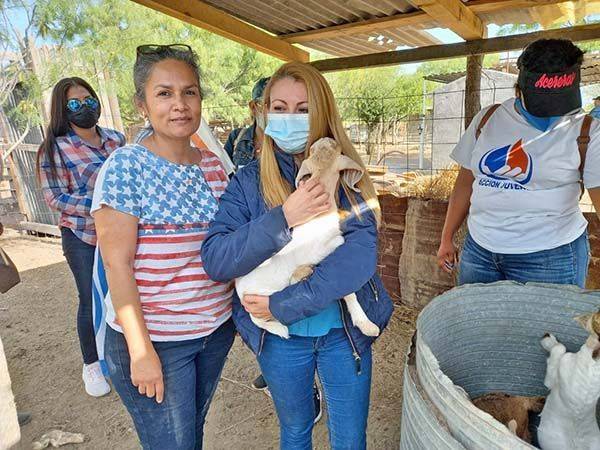 Comprometido con campo castañense