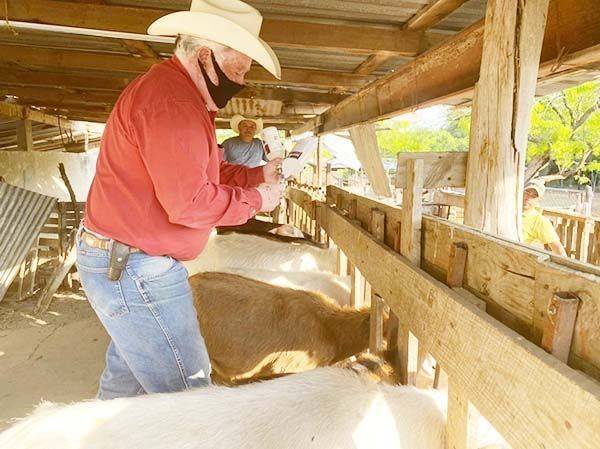 Arranca campaña de sanidad en el campo