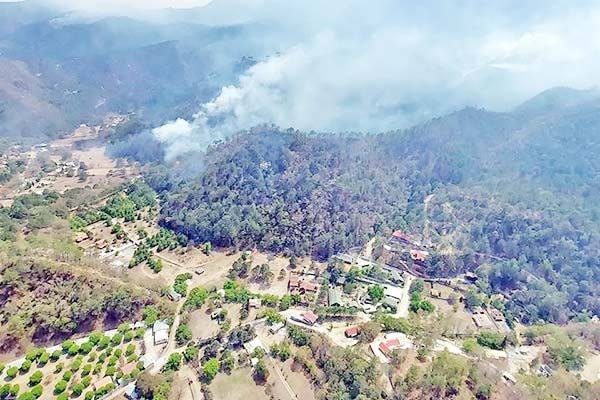 Incendio afectó 11 mil hectáreas