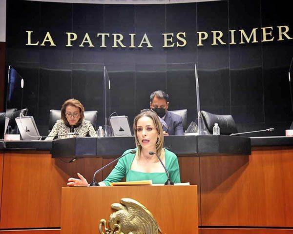 Inconstitucional La reforma a la ley de hidrocarburos