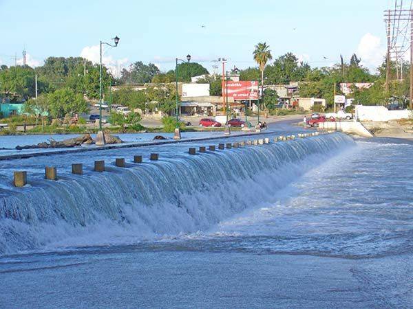 Preservarán ecosistema de la Región Carbonífera