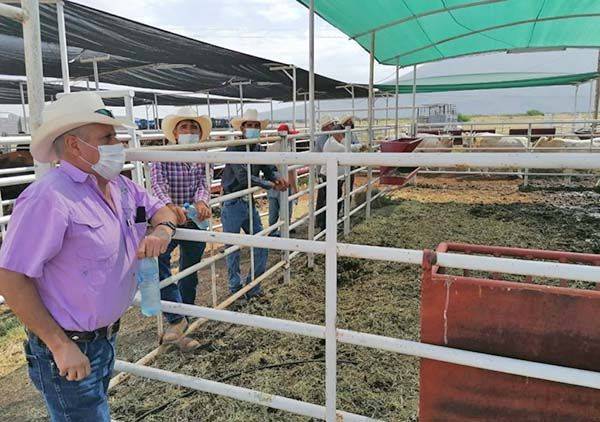 Se olvida del campo el Gobierno Federal