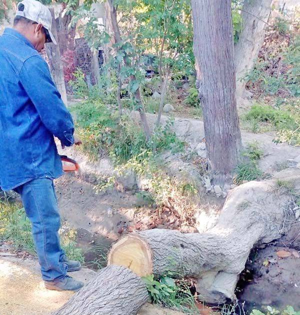 Trabaja Ecología en limpieza de acequia