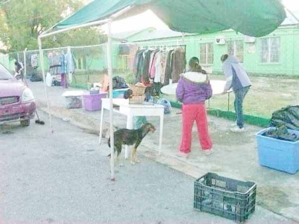 Regresa la pulga a colonia Sarabia