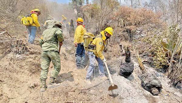 Controlado al 100% fuego en La Pinalosa