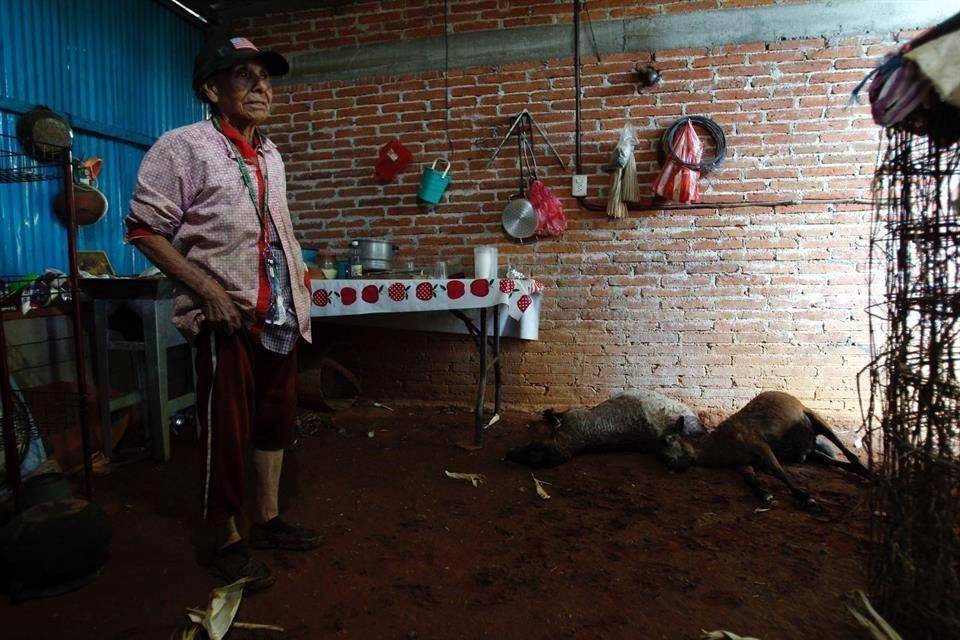‘Se dejó caer la tempestad; el agua llegó a los colchones’