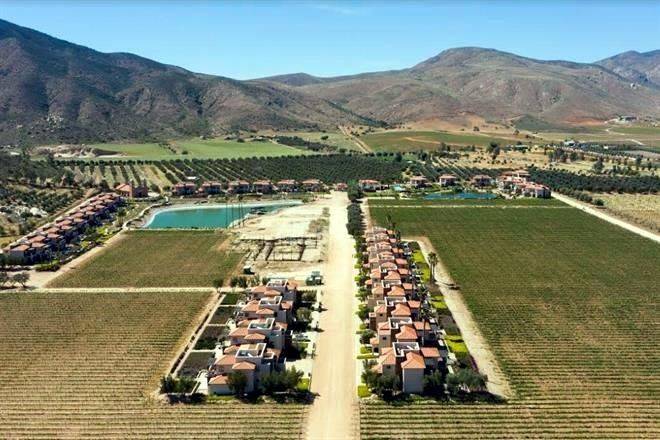 Peligra zona vinícola por inmobiliarias en BC