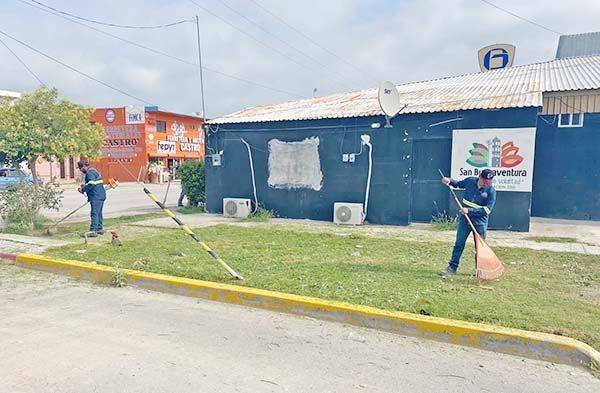 Reforestan área verde en Seguridad Pública