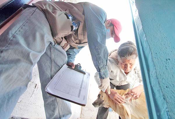 Llama Salud a evitar brotes de rickettsia