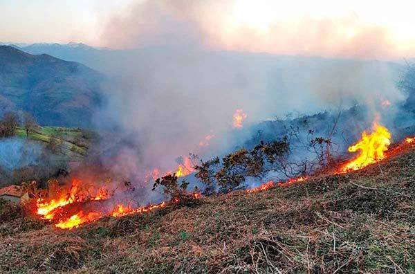 Temporada de huracanes detonarían más incendios