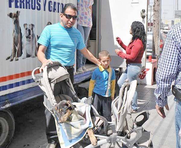 Aumentan servicios de salud a mascotas