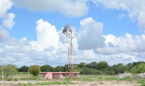 Favorecen la agricultura lluvias en Región Centro