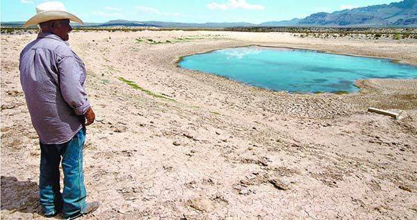Favorecen lluvias al campo de Monclova