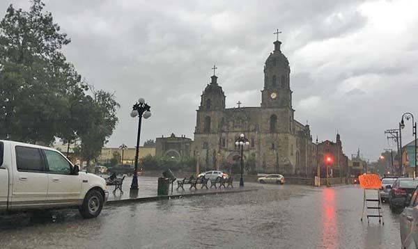 Beneficia la lluvia al campo de la región