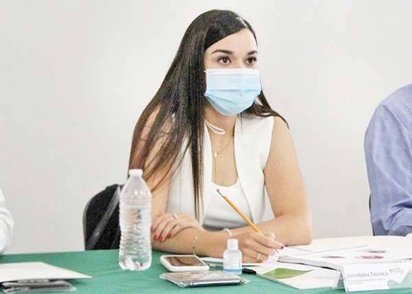 Llevan a cabo sesión de Consejo de Adopciones