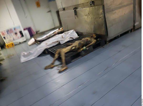 Hallan espacio a cadáveres ¡en el piso!