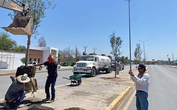 Arranca reforestación de bulevar Magisterio