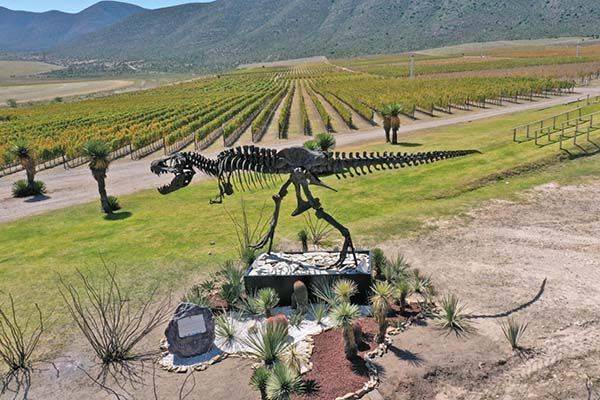 Premian a Vinos & Dinos en Madrid