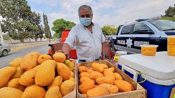 Tiene Juan 20 años viviendo del mango