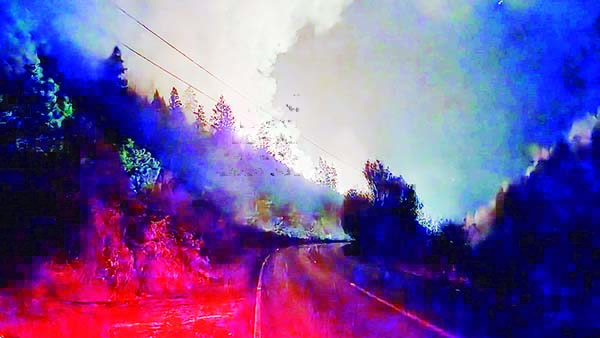 Afectaron incendios 3 mil 550 hectáreas