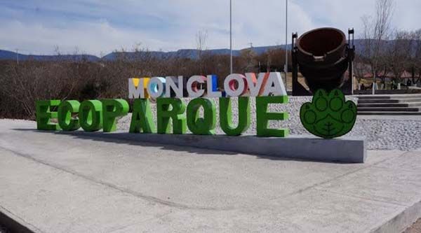 Merodeaba coyote en parque ecológico