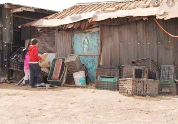 Vulnerables 20 familias de ejidos ante tormentas