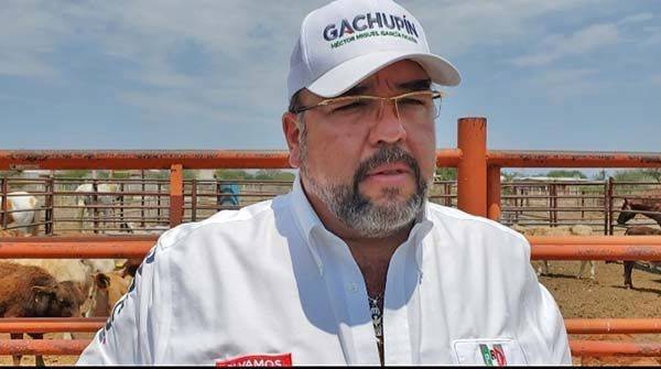 Gachupin, aliado de los productores del campo
