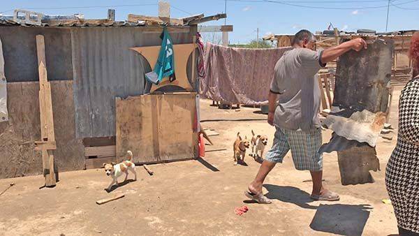 Destruye viviendas infierno congelante